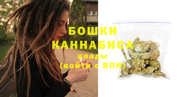 СК Богородицк
