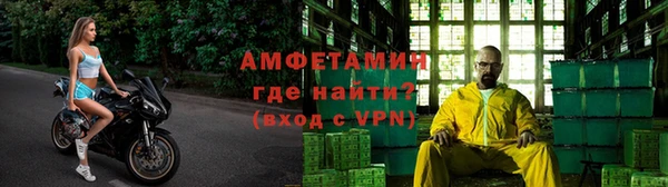 гашик Богданович