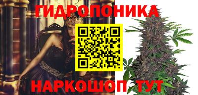 индика Изобильный
